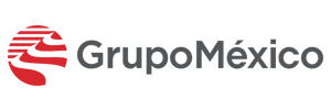 24-Grupo-mx.svg